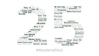Woodlands Stud Stallions  2017