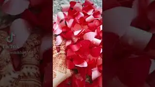 flowers bail on curtains ⚘😍|||||miki khan mks ||||