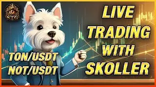 Live Crypto Trading with Skoller: Market Analysis & Execution