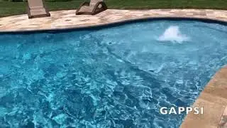 Gunite Swimming pool built by Gappsi in coram NY Long Island