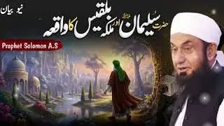 Story of Hazrat suleman (A.S) and takht e balkis
