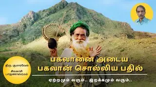 50.Experience with Yogi Ramsuratkumar - Sri. Kumaravel#yogiramsuratkumar #யோகிராம்சுரத்குமார்