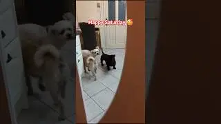 Начнём выходные! 🤗🤗🤗🤗🤗🤗🤗😜