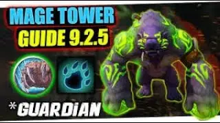 Guardian Druid - Mage tower Challenge (Timewalking)