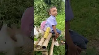 WAAAH UNY UNY