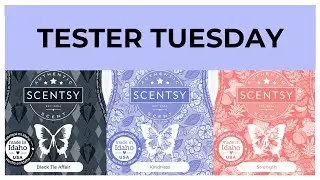 Tester Tuesday Black Tie Affair, Kindness and Strength (Scentsy Reviews)