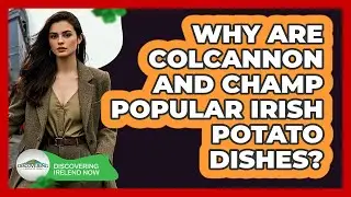 Why Are Colcannon And Champ Popular Irish Potato Dishes? - Discovering Ireland Now
