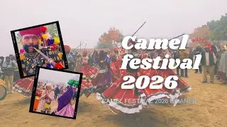 Camel festival 2026 Bikaner #camelfestival #bikaner #babaghumakkadi 