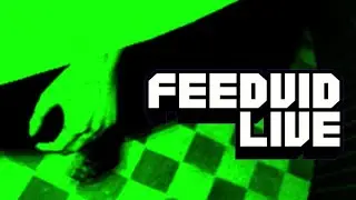 FeedVid Live (Horror Game) | Full Gameplay & Ending