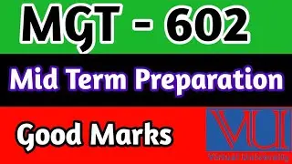 MGT - 602 | Mid Term Preparation File | MGT 602 preparation 2024 | mgt602 paper 2024