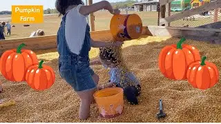Fun Pumpkin Patch for Kids | Farm Playground  Fall Activities | Corn Pit | Hay Ride | October 2022