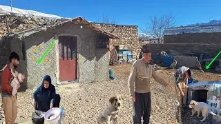 Love for Animals: Ali and Morteza Seek to Build a Warm Home for a Puppy