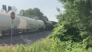 CN 2938, and CN 3984 lead a NB Manifest on the Waukesha Sub at Theresa North Marsh!!!
