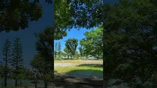 多摩川住宅　2023年の夏の日