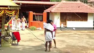 എടനാട് ശ്രീ കണ്ണങ്ങാട്ട് ഭഗവതി ക്ഷേത്രം കളിയാട്ടമഹോത്സവം സംപ്രേഷണം