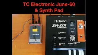 TC Electronic June-60 (chorus) & Synth Pad