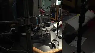 #shorts Stefan Vale - LIVE on 88.9 FM WDNA