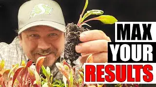 3 Ways To Maximize Your Germination - Garden Quickie Episode 277