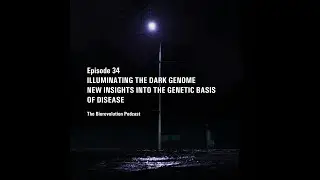 Illuminating the Dark Genome &ndash; New Insights into the Genetic Basis of Disease