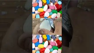 ASMR Carving soap. Soothing cutting soap | ASMR soap.