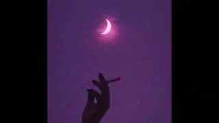 (FREE) Jolagreen23 x Hamza Type Beat - 