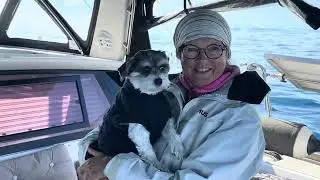 PIA 4 SAILING.  EP.  124.    Hvor var vi heldige 😅😅