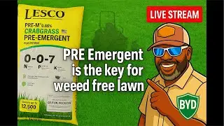 1. &ldquo;Fall Pre-Emergent Secrets for a Weed-Free Bermuda Lawn 🌱 | LIVE Q&A with BYD&rdquo;