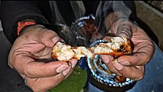 Juicy Tandoori Fish & Malai Tikka 🤤 | Vikas (Pappu) Chicken Shop | Tilak Nagar