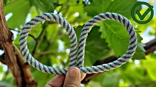9 Popular Master Knots You Didn't Know About
