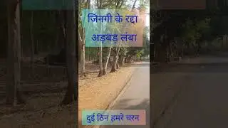 जिनगी के रद्दा