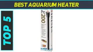 5 Best Aquarium Heater in 2023