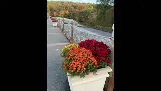 Lindo lugar para caminar turtle back zoo new Jersey