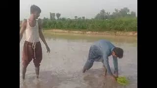 Mungi ki lagi my village Shaka da vlog 🥰🥰