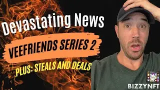 VeeFriends - NFT - Gary Vee - Devastating News for VeeFriends Series 2