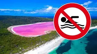 Never Swim in These Places 😱 | World&rsquo;s Most Dangerous Waters |#factsvideo #fact #entertainment