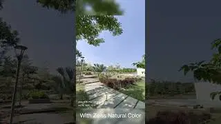 Vivo X70 Pro Zeiss Natural Color 📸