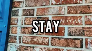 Stay -D.L.M [Official Music video]