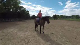 Fixing a Horse that Drops Their Shoulder in the Canter