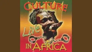 I Tried (Live in Africa)