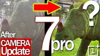 OnePlus 7 Pro - CAMERA REVIEW [Before & After the Firmware Update] NOT GOOD ENOUGH😬