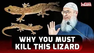 Hadith About Killing House Lizards || Sheikh Assim Al Hakeem || #assim