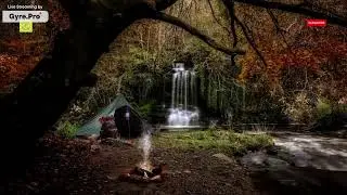 Water Fall Ambience Cozy Camping With Fire Crackling Field Cricket Sound |Best For sleep reading