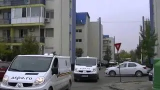 Hingheri Bancescu ASPA Maidanezii