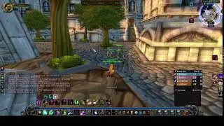 WOW ANNIVERSARY!!! Leveling Feral Druid