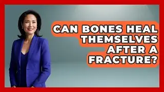Can Bones Heal Themselves After a Fracture? | All About Anatomy Answers News