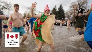 Canadians kick off new year with polar bear dip