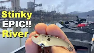 Walleye & Yellow Perch Attack!! Epic Western PA River (January)