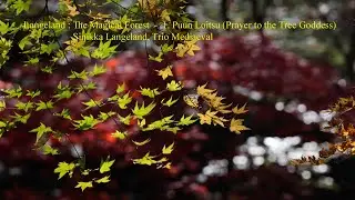 Langeland : The Magical Forest - 1. Puun Loitsu (Prayer to the Tree Goddess)