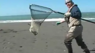 Catching Pacific Lamprey on the Klamath River