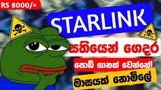 Rs 1000 starlink එකක් ගෙදරට ගේමුද? Starlink Vs SLT Fiber Sri Lanka Which Is the BEST  Internet#2025